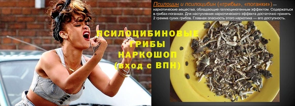 apvp Алексеевка