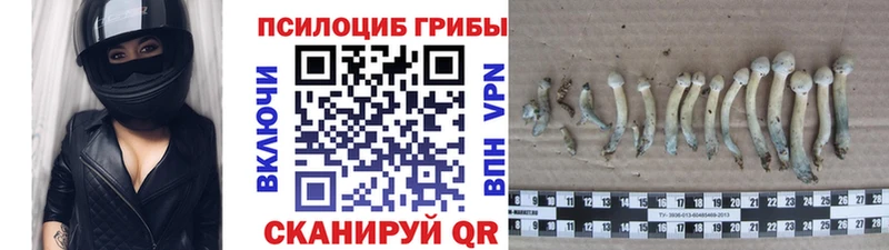 Псилоцибиновые грибы MAGIC MUSHROOMS  Спасск 